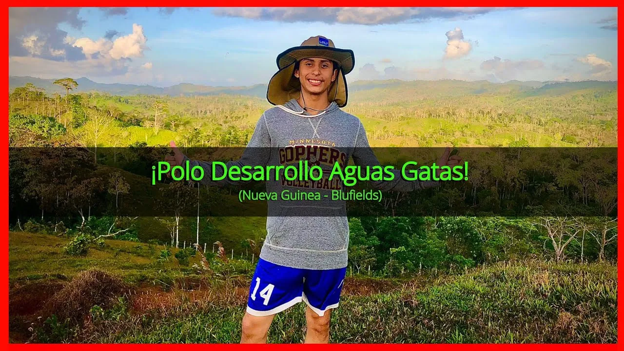 Miniatura video 2